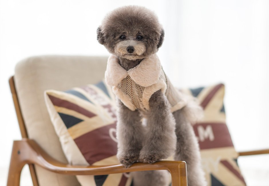 ヘリンボーンチェックムスタンハーネス Herringbone Mustang Harness  【小型犬/アウター/ヘリンボーン/ジャンパー/防寒/コート/ハーネス ジャケット/コート/犬服/ベスト】【犬服 ブランド】