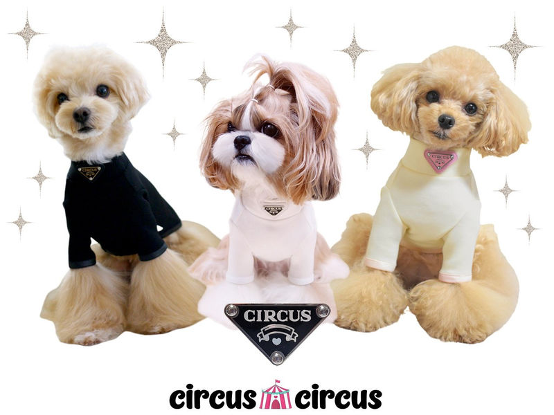 [White/L]Chic T　circus circus　サーカスサーカス　トライアングルプレート　カットソー　バインダー　オシャレ　重ね着　リンクコーデ　ペット用品　ペットグッズ　犬用品　犬服　ドッグウェア　小型犬　中型犬