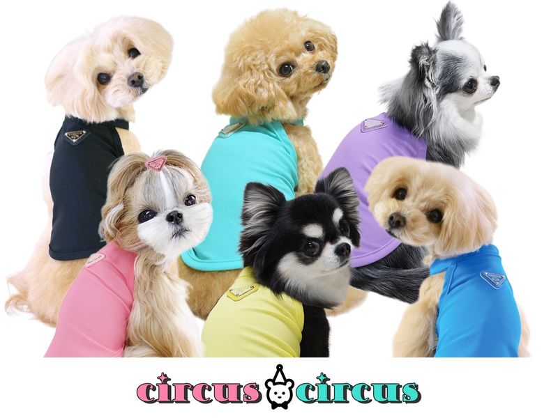 【L/イエロー】Chic Mesh ホルターネックタンク　circus circus　サーカスサーカス　POPカラー　ホルターネック　タンク　トライアングルプレート　ペット用品　ペットグッズ　犬用品　犬服　ドッグウェア　小型犬　中型犬