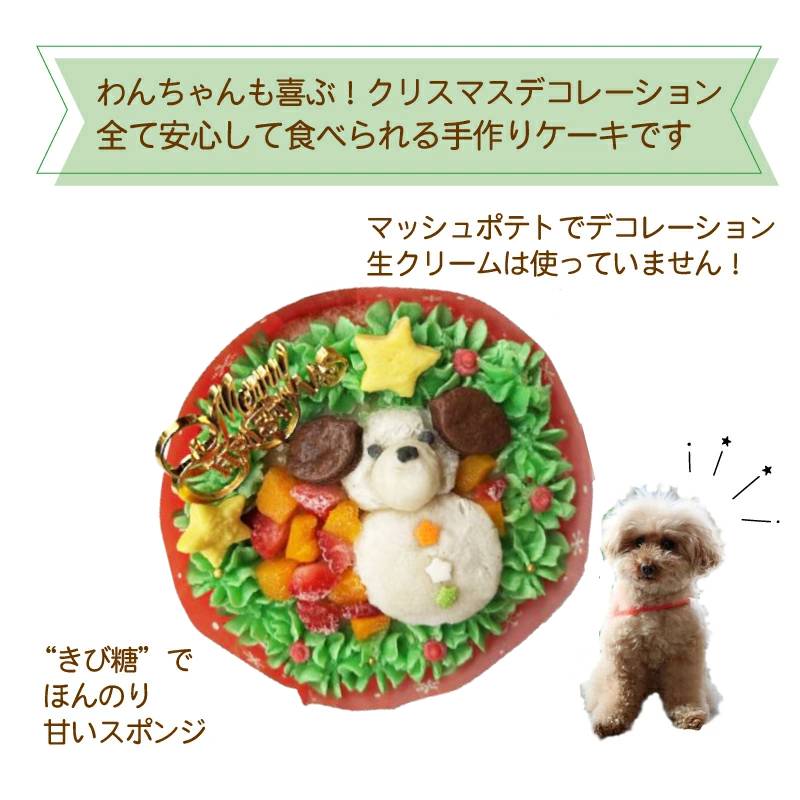 【期間限定】デリシャスX'masケーキ　無添加ケーキ　ドッグデリファクトリー　Dog Deli Factory　クリスマスケーキ　犬用　ペットフード　ドッグフード