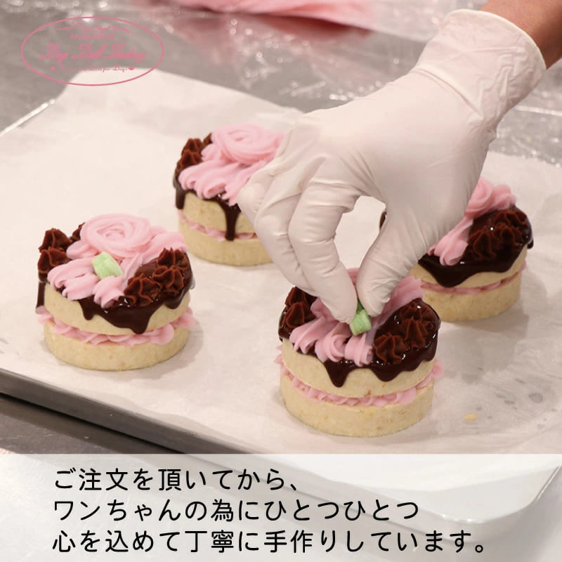 【期間限定】クリスマスケーキ 予約 犬用 （犬 クリスマス ハッピーケーキセット） 無添加 ケーキ ドッグデリファクトリー  豚肉、牛肉、おから、ブロッコリー、人参、かぼちゃ いちご