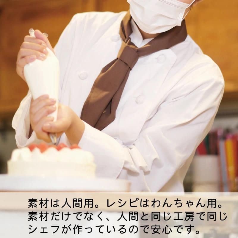 【期間限定】クリスマスケーキ 予約 犬用 （犬 クリスマス ハッピーケーキセット） 無添加 ケーキ ドッグデリファクトリー  豚肉、牛肉、おから、ブロッコリー、人参、かぼちゃ いちご