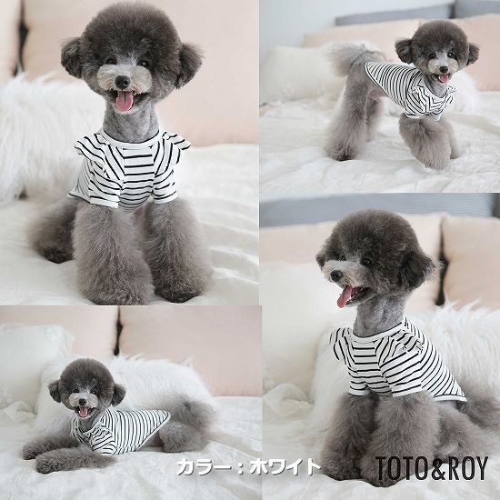 【S～XL】ウィーリーストライプTシャツ　TOTO&ROY　普段着　Tシャツ　綿素材　伸縮性　おしゃれ　お出かけ　犬服　ペット・ペットグッズ　犬用品　大型犬　中型犬【犬服 ブランド】