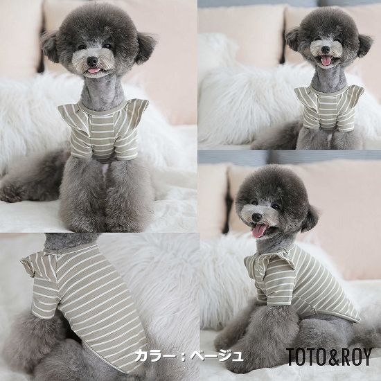 【S～XL】ウィーリーストライプTシャツ　TOTO&ROY　普段着　Tシャツ　綿素材　伸縮性　おしゃれ　お出かけ　犬服　ペット・ペットグッズ　犬用品　大型犬　中型犬【犬服 ブランド】