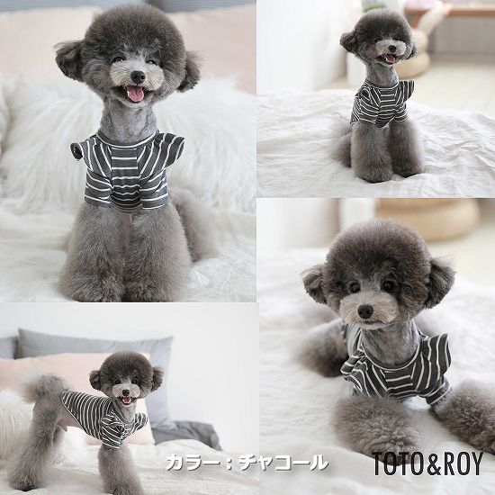 【S～XL】ウィーリーストライプTシャツ　TOTO&ROY　普段着　Tシャツ　綿素材　伸縮性　おしゃれ　お出かけ　犬服　ペット・ペットグッズ　犬用品　大型犬　中型犬【犬服 ブランド】