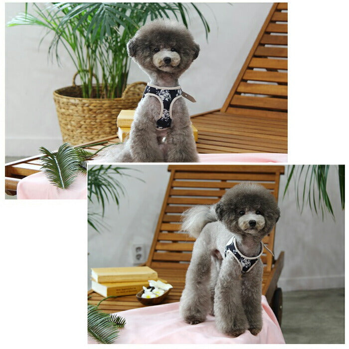 【Mサイズ】アジサイベーシックハーネスSET 【小型犬 犬用 リード ハーネス 胴輪 セレブ デザイン 花柄　シンプル　上質】【犬服 ブランド】