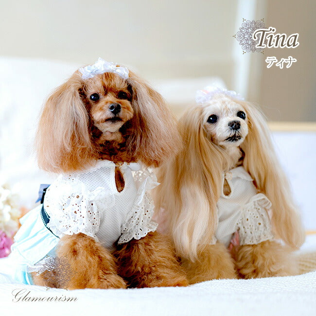 【3S/SS】ティナ（Tina）ブルー　クール　メッシュ　グラマーイズム　コットン　レース　フリル　パール　ドッグウエア　犬服　ドレス　ワンピース　グログラン