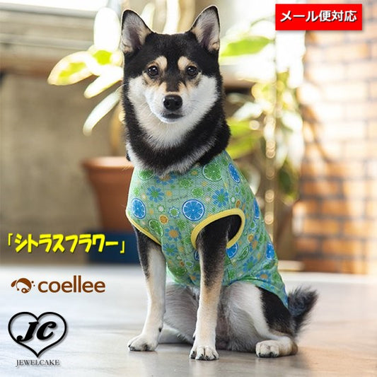 Citrus flower【size:8】メッシュトップス【メール便対応】coellee[サイズ:8号]【犬服/ドッグウェア/ペットウェア】