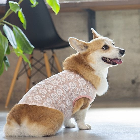 Fleur sleeveless【size:10】coellee[サイズ:10号]【犬服/ドッグウェア/ペットウェア】