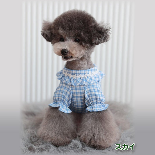 【SKY/Mサイズ】ロイコ チェックフリル シャツ　TOTO&ROY　トトアンドロイ　ペット　ペット用品　犬用品　小型犬　中型犬　犬服　ドッグウェア　プチプラ