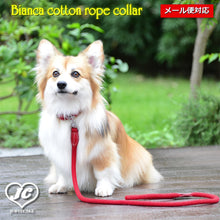 画像をギャラリービューアに読み込む, 【ダヴィンチ】Bianca cotton rope collar【size:4】
