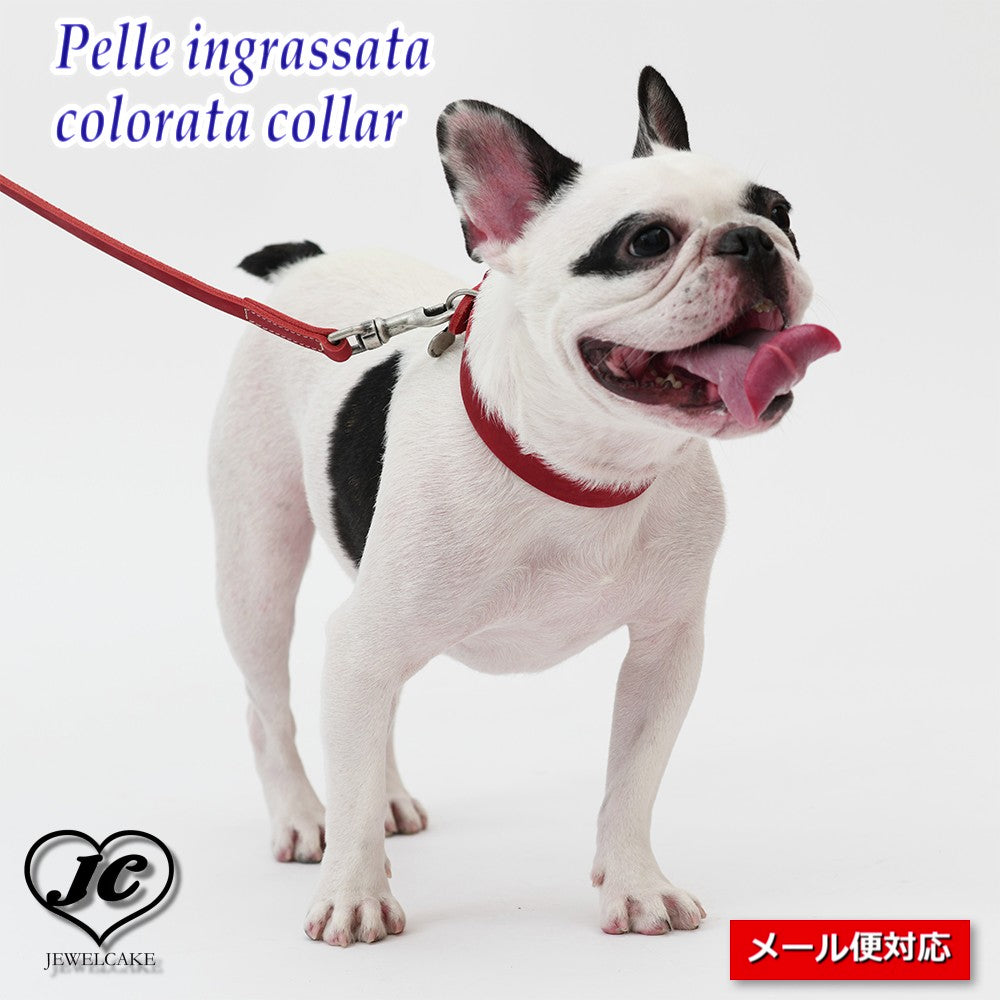 【ダヴィンチ】Pelle ingrassata colorata collar【size:2.5/3/3.5】