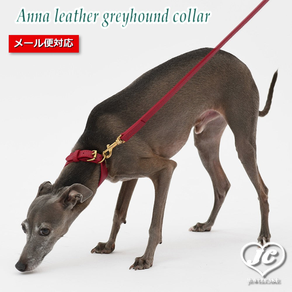 【ダヴィンチ】Anna leather greyhound collar【size:3/3.5】