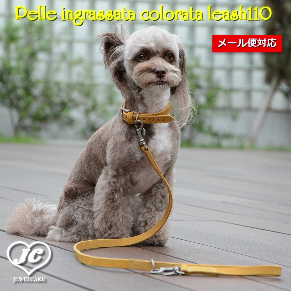【ダヴィンチ】Pelle ingrassata colorata leash110【size:S/M】